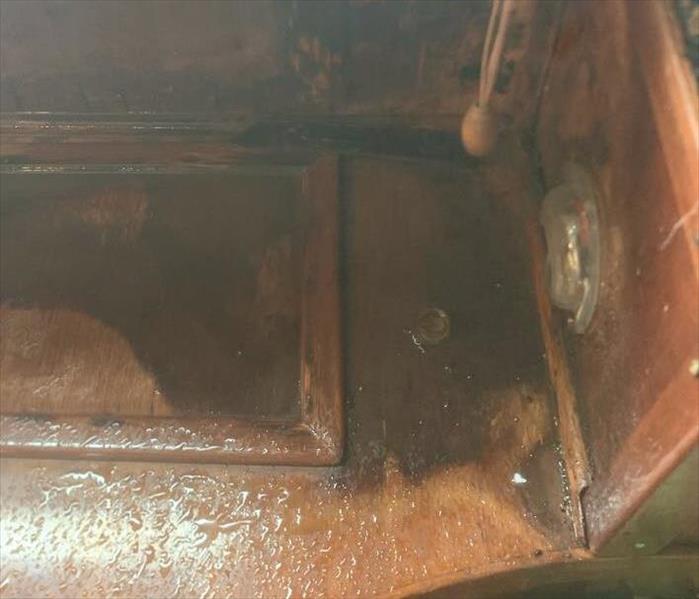 Water damage on boat caused mold growth