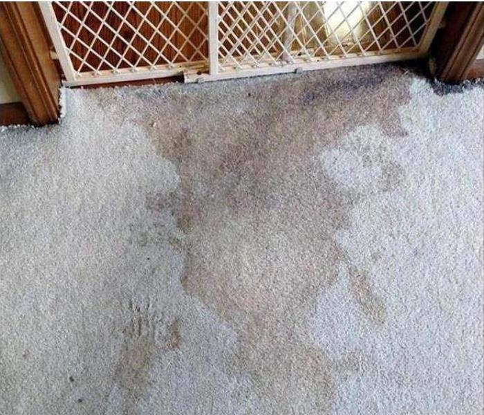 Water damage on carpet 