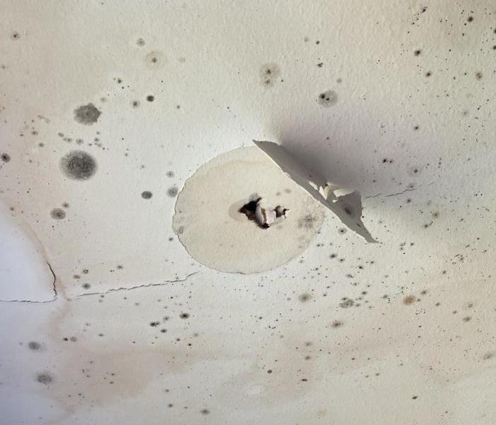 Growth and water stains on ceiling after roof damage in Greater New Orleans Area